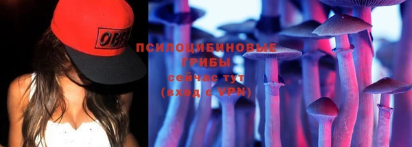 СК Армянск