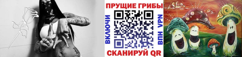 Псилоцибиновые грибы ЛСД  Купить  Тогучин 